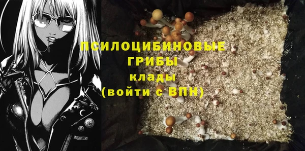 прущая мука Вязники